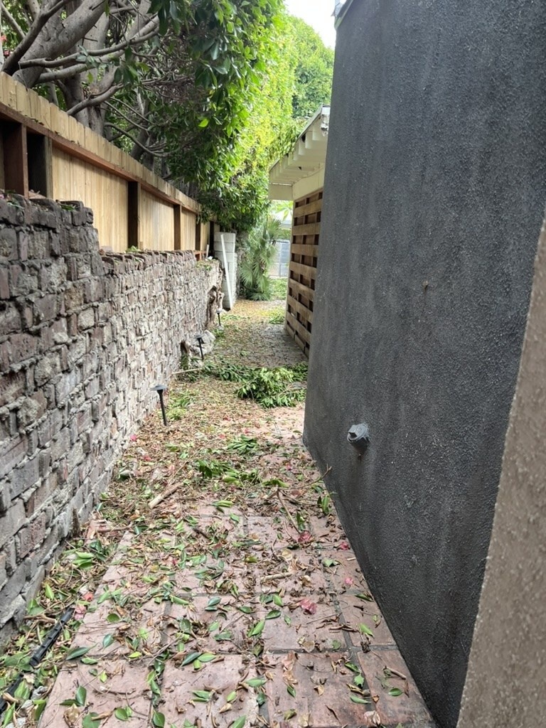 Branches and debris across the narrow passage in daylight.