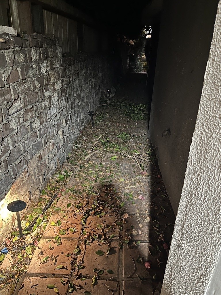The narrow passage covered with branches and debris at night.