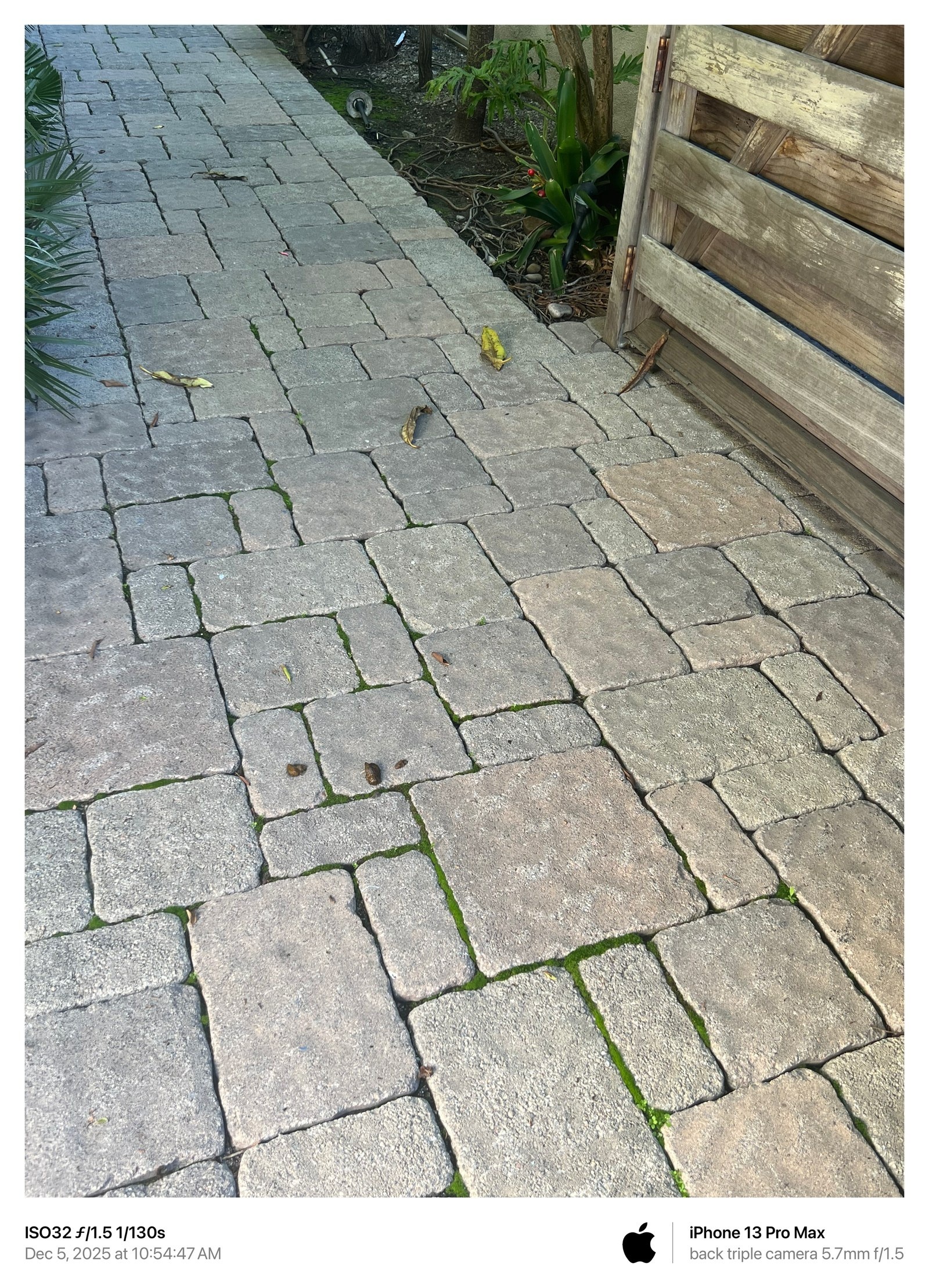 December 5, 2025 photograph of the sole access pathway.