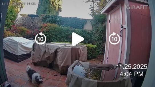 November 25, 2025 at 4:04 PM: dog defecating on the private patio.