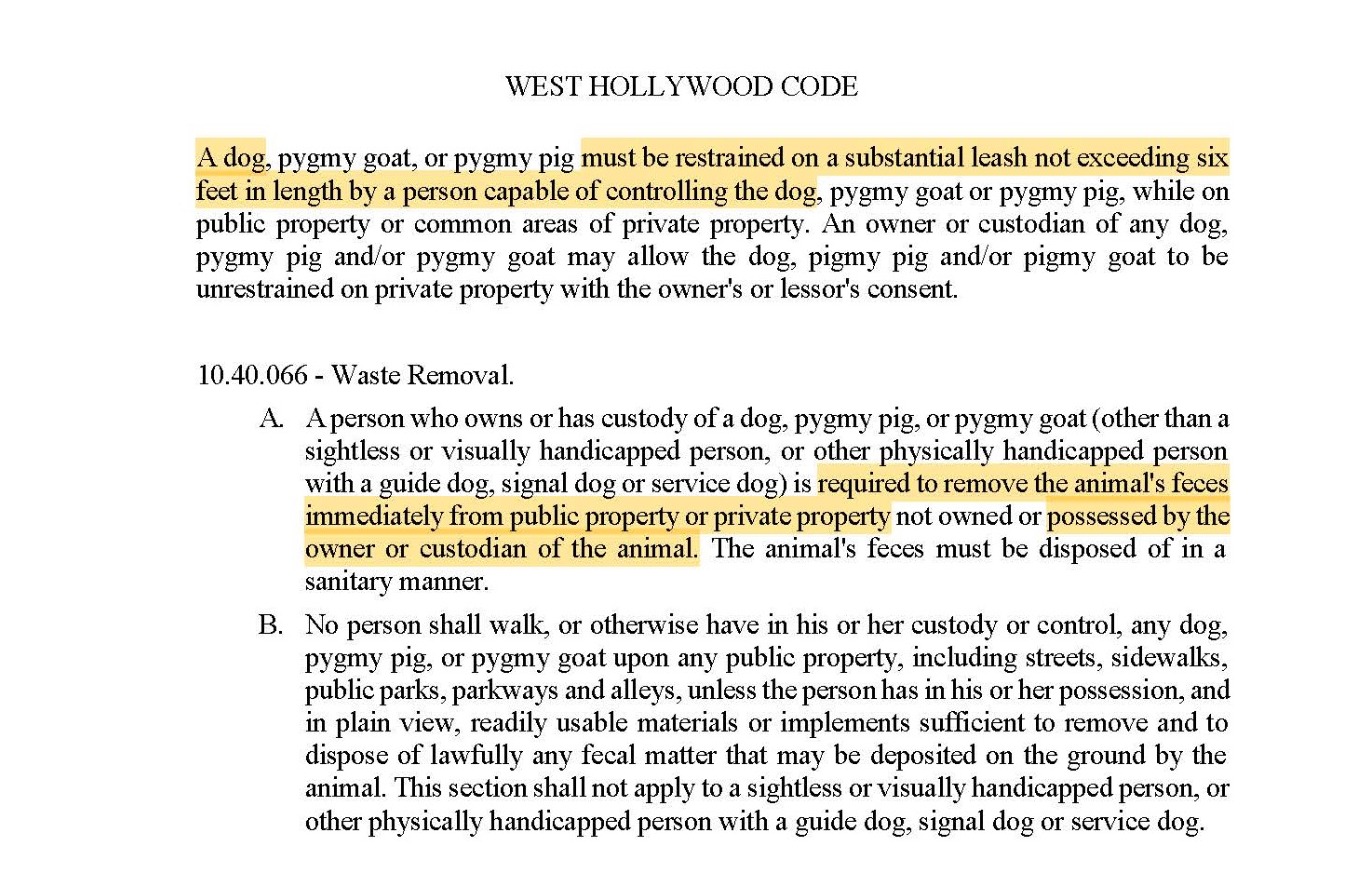 Highlighted West Hollywood Code excerpt requiring a six-foot leash and immediate removal of animal feces.
